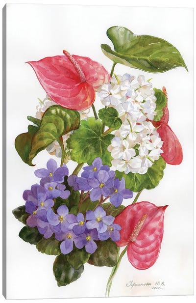 Anthurium And Violets Canvas Art Print - Botanical Illustrations