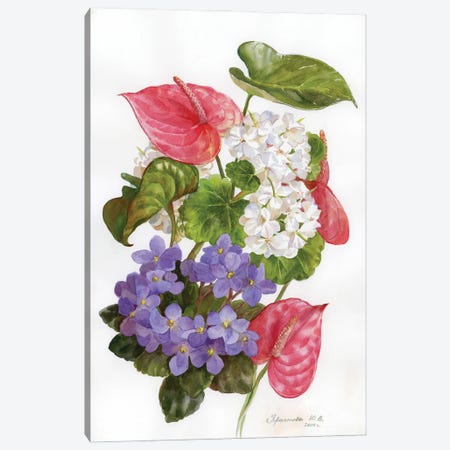 Anthurium And Violets Canvas Print #YKV27} by Yulia Krasnov Canvas Art