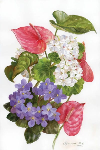 Botanical Illustrations: Anthurium And Violets by Yulia Krasnov