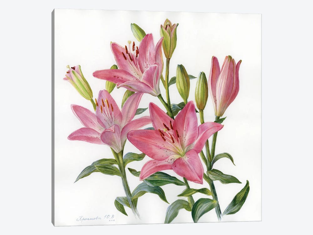Pink Lilies by Yulia Krasnov 1-piece Canvas Print
