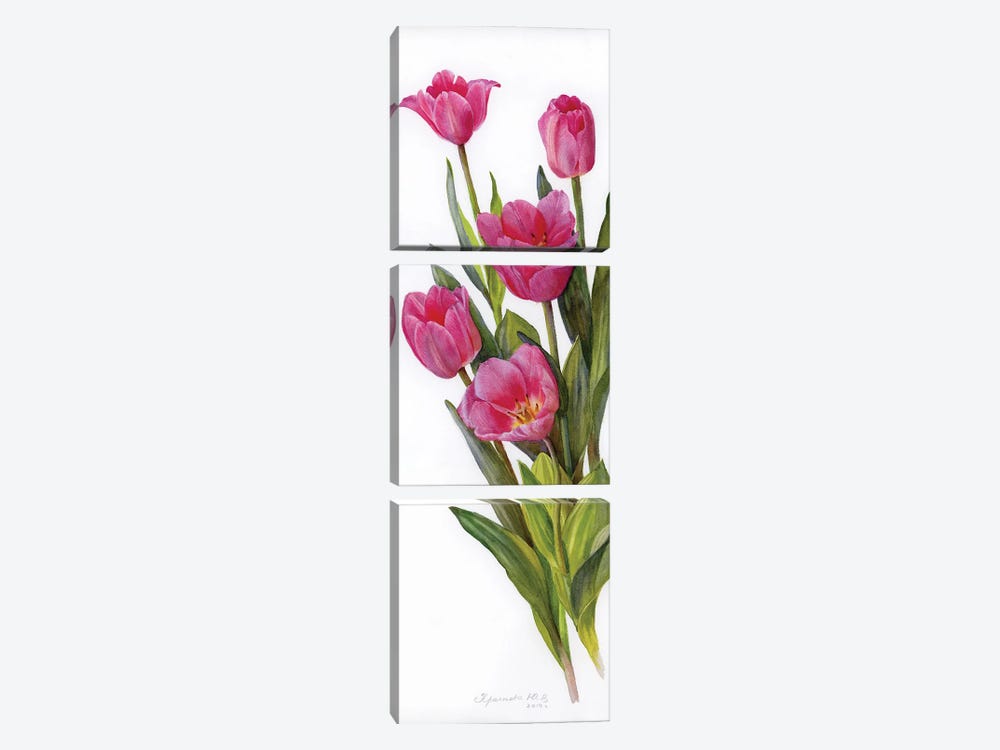 Pink Tulips by Yulia Krasnov 3-piece Canvas Artwork