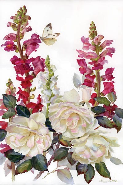 Botanical Illustrations: Snapdragon And Roses by Yulia Krasnov