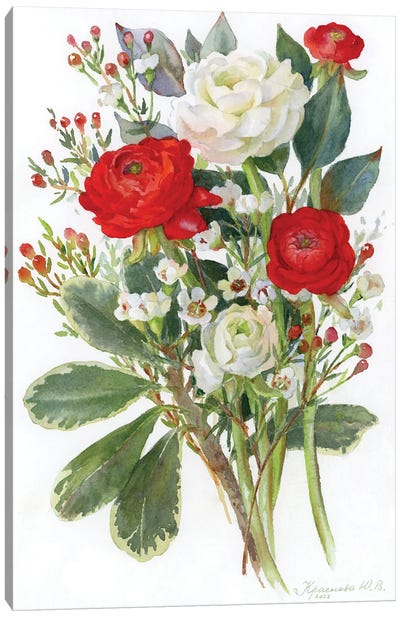 White And Red Ranunculus Canvas Art Print - Botanical Illustrations