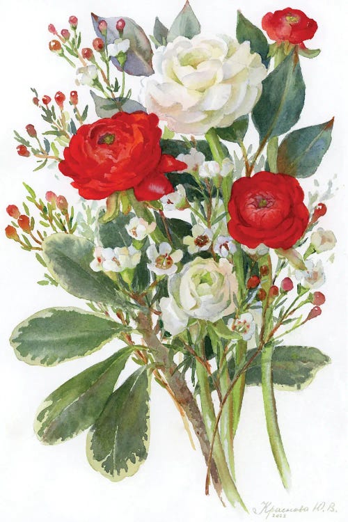 White And Red Ranunculus