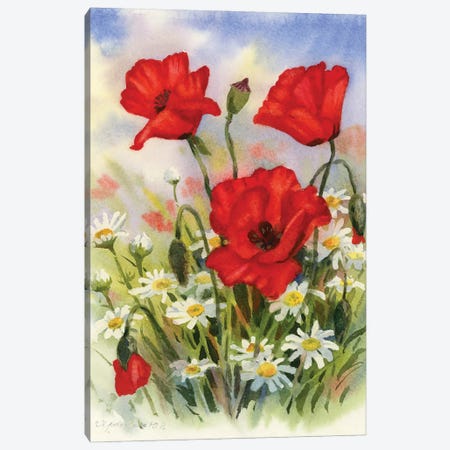 Wildflowers Canvas Print #YKV54} by Yulia Krasnov Canvas Print