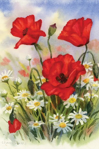 Wildflowers: Wildflowers by Yulia Krasnov