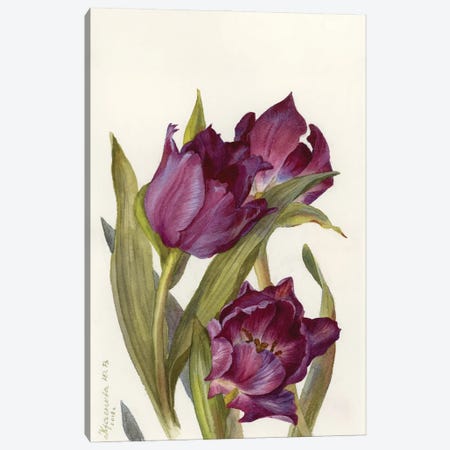 Burgundy Tulips Canvas Print #YKV68} by Yulia Krasnov Canvas Print