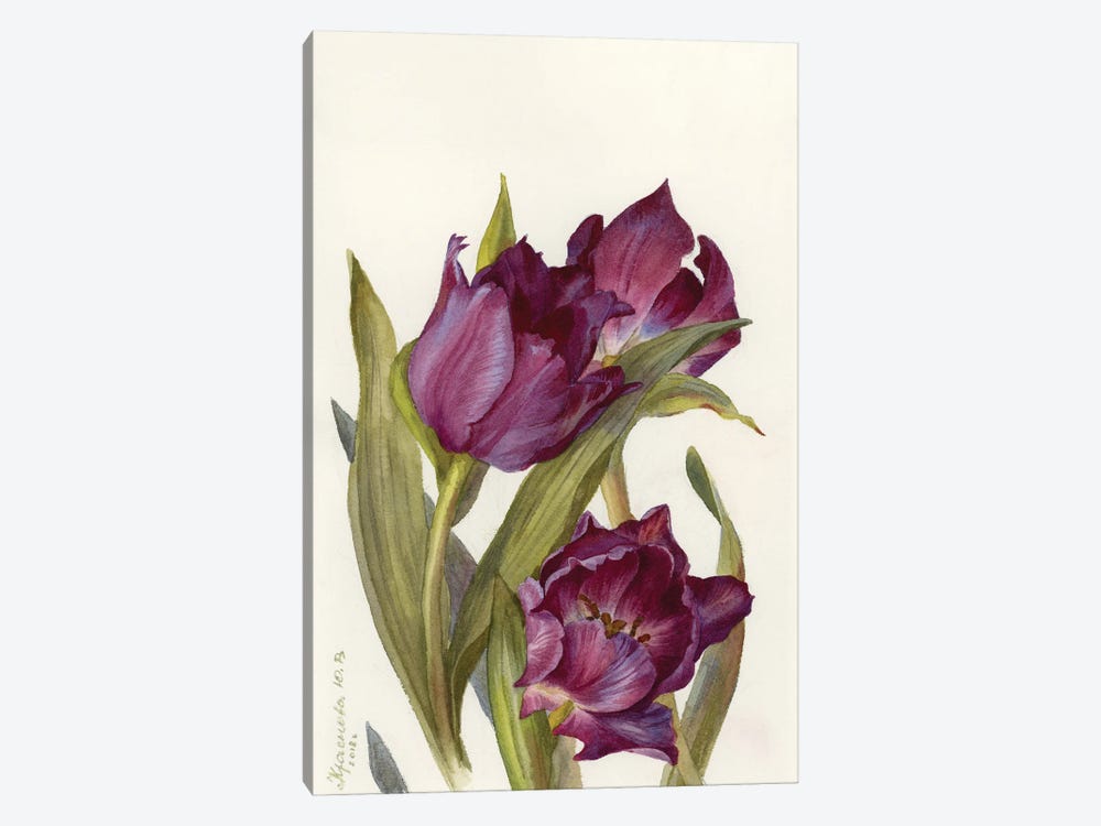 Burgundy Tulips by Yulia Krasnov 1-piece Canvas Art
