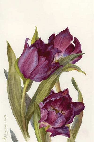 Tulips: Burgundy Tulips by Yulia Krasnov