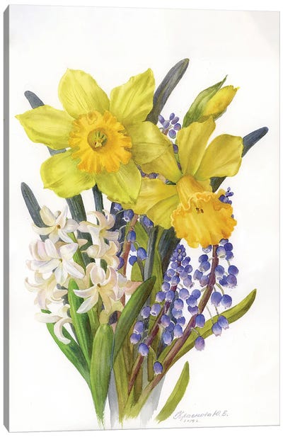 Daffodils, Hyacinth And Muscari Canvas Art Print - Daffodil Art