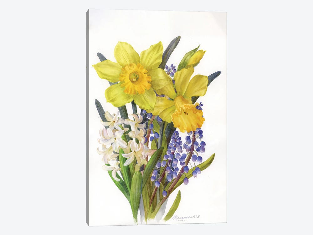 Daffodils, Hyacinth And Muscari by Yulia Krasnov 1-piece Canvas Print