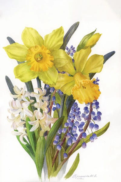 Hyacinths: Daffodils, Hyacinth And Muscari by Yulia Krasnov