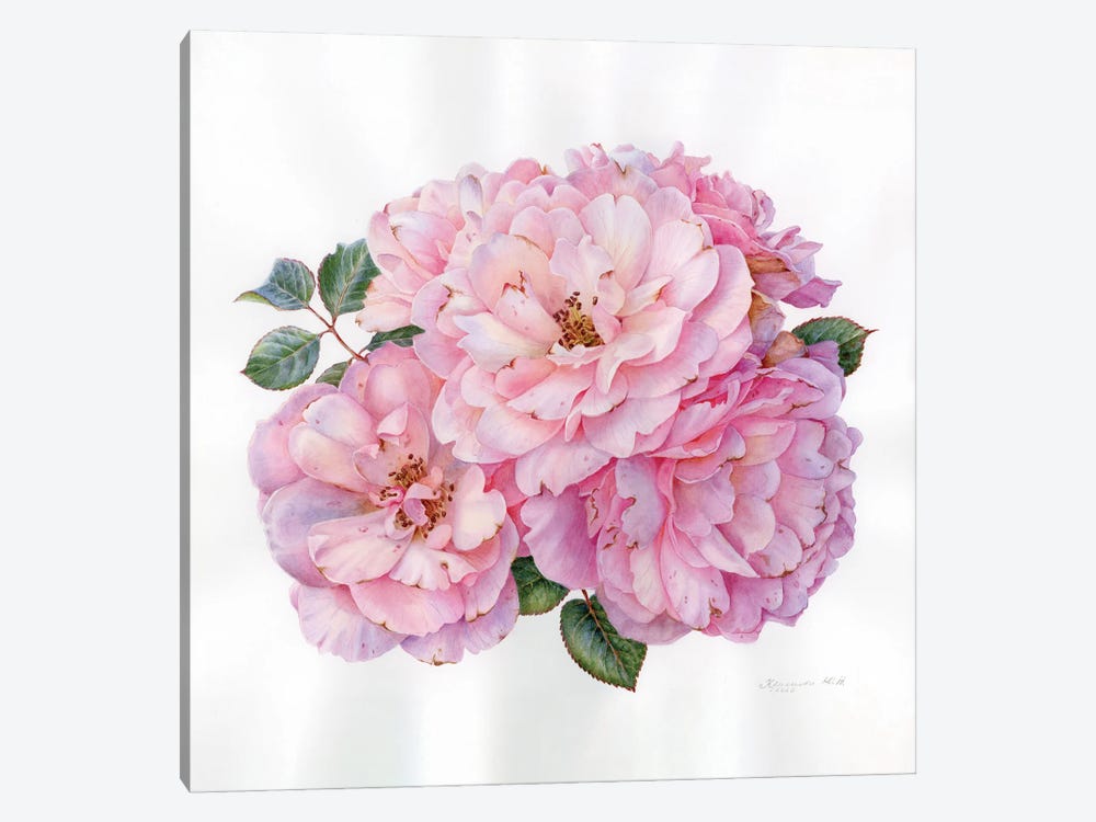 Pink Roses by Yulia Krasnov 1-piece Art Print