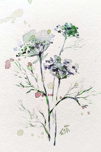 Sweet Fennel by Yulia Belasla metal wall art