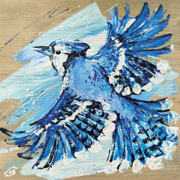 Animal Lover: A Blue Jay In Flight by Yulia Belasla