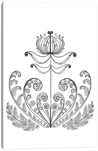 The Fern Flower, Pencil Drawing Canvas Art Print - Botanical Illustrations