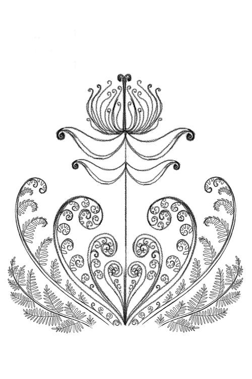 The Fern Flower, Pencil Drawing by Yulia Belasla wall art