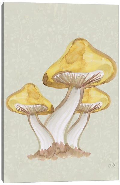 Calming Mushrooms Canvas Art Print