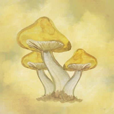 Strangest Of Places by Yass Naffas Designs gallery poster