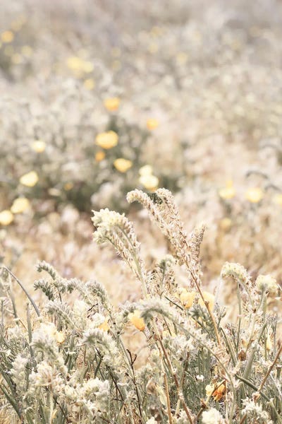 Yass Naffas Designs: Sweet Vintage Field by Yass Naffas Designs