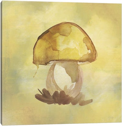 Treasured Mushroom Canvas Art Print