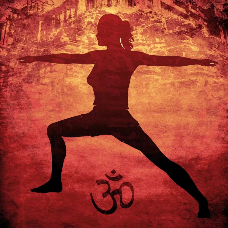 OM Warrior Stance by 5by5collective wall art