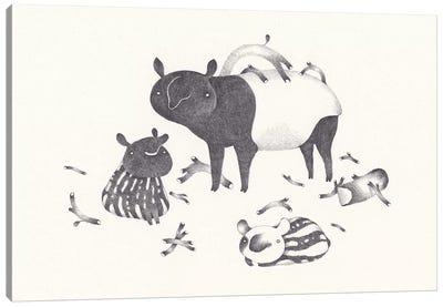 Tapir Canvas Art Print