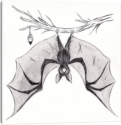 Bat Canvas Art Print - Yohan Sacré
