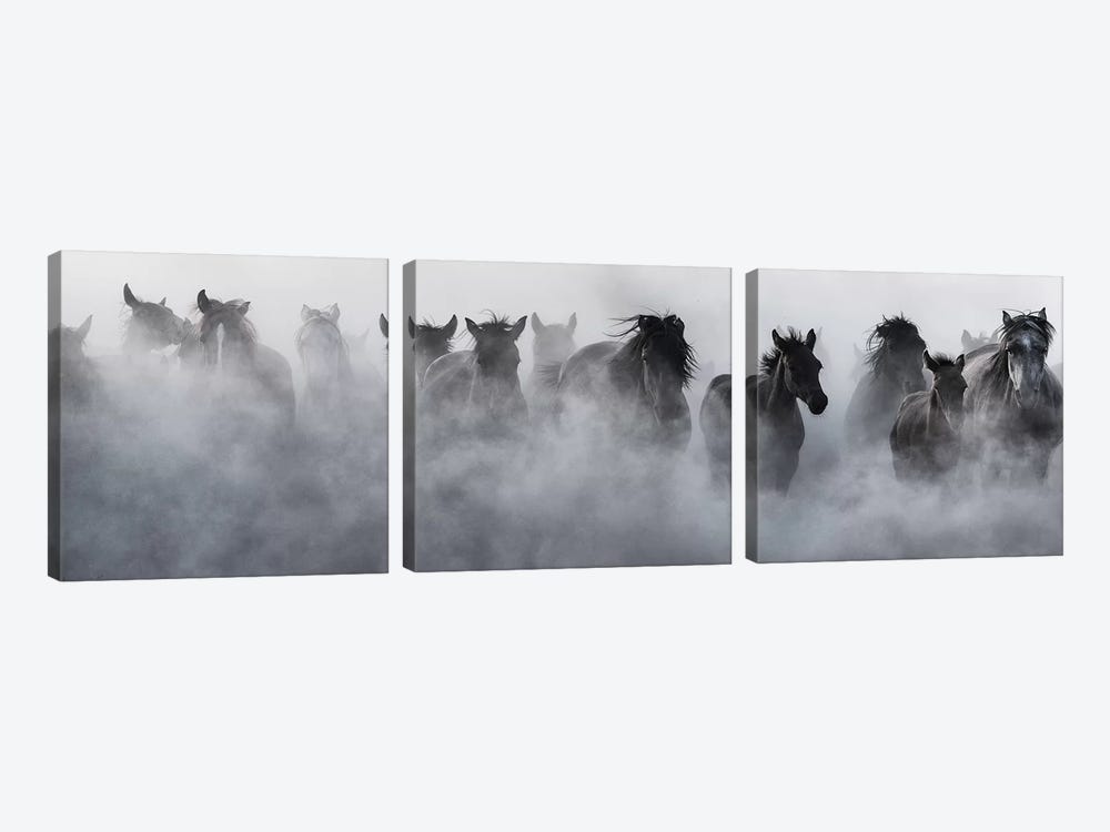 Mustangs by Yavuz Pancareken 3-piece Canvas Artwork