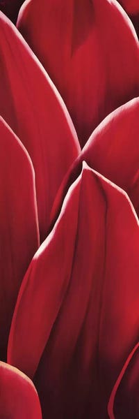Similar To Georgia O'Keeffe: Dahlia II by Yvonne Poelstra-Holzhaus