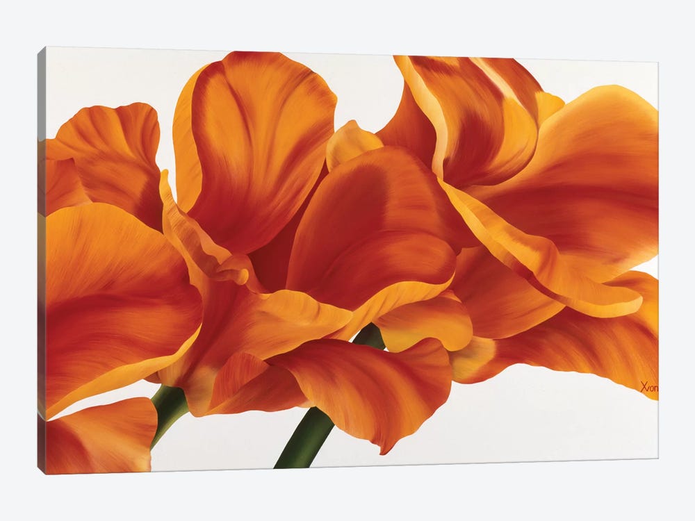 Fancy Flower II by Yvonne Poelstra-Holzhaus 1-piece Canvas Print