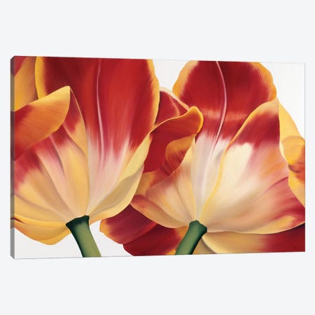Fancy Flower III Canvas Print #YPH16} by Yvonne Poelstra-Holzhaus Canvas Print