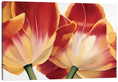 Fancy Flower III Canvas Art Print - Similar to Georgia O'Keeffe