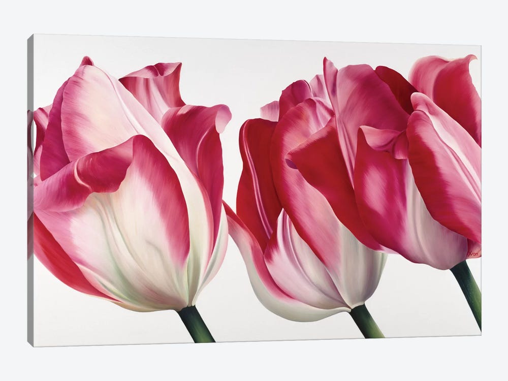 Floriade V by Yvonne Poelstra-Holzhaus 1-piece Canvas Wall Art
