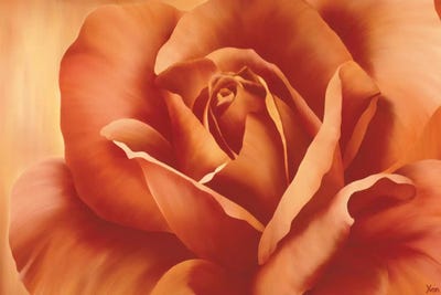 Full In Bloom I by Yvonne Poelstra-Holzhaus canvas print