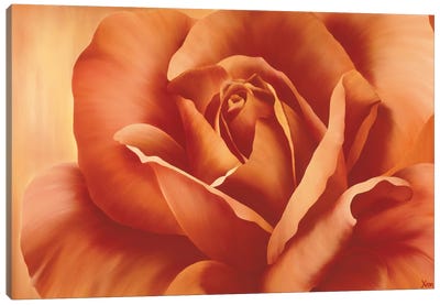 Full In Bloom I Canvas Art Print - Yvonne Poelstra-Holzhaus