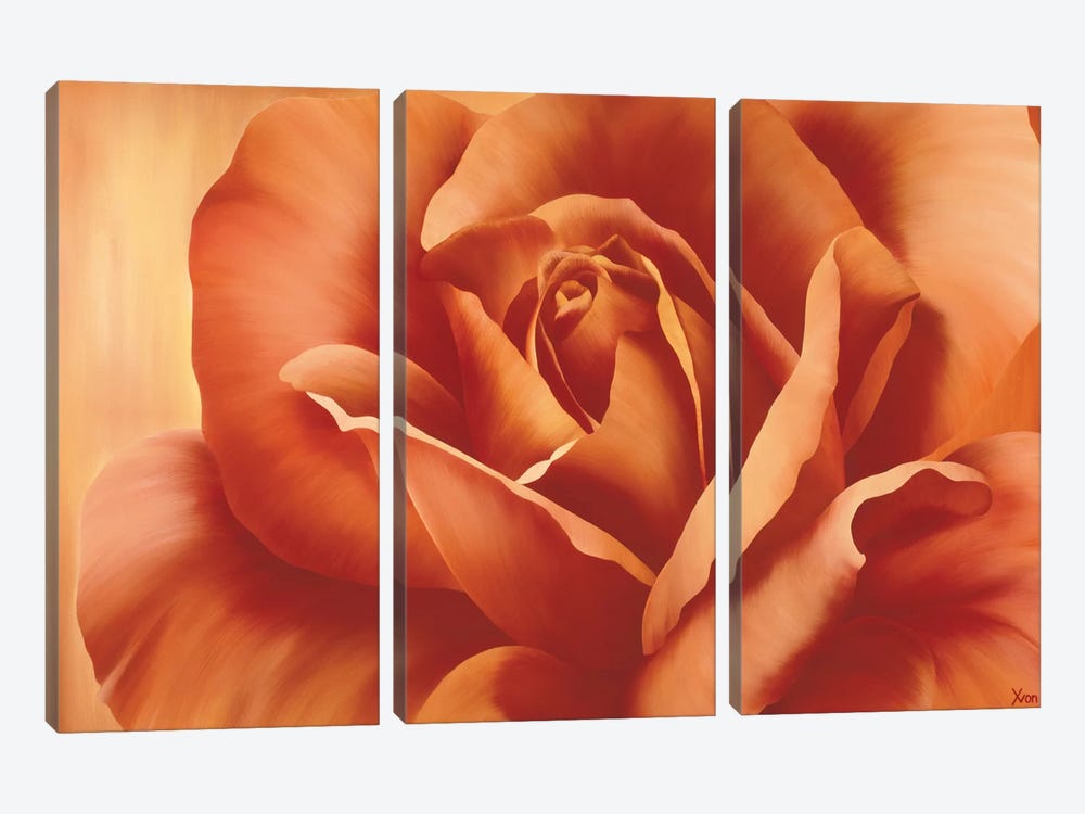 Full In Bloom I by Yvonne Poelstra-Holzhaus 3-piece Canvas Art