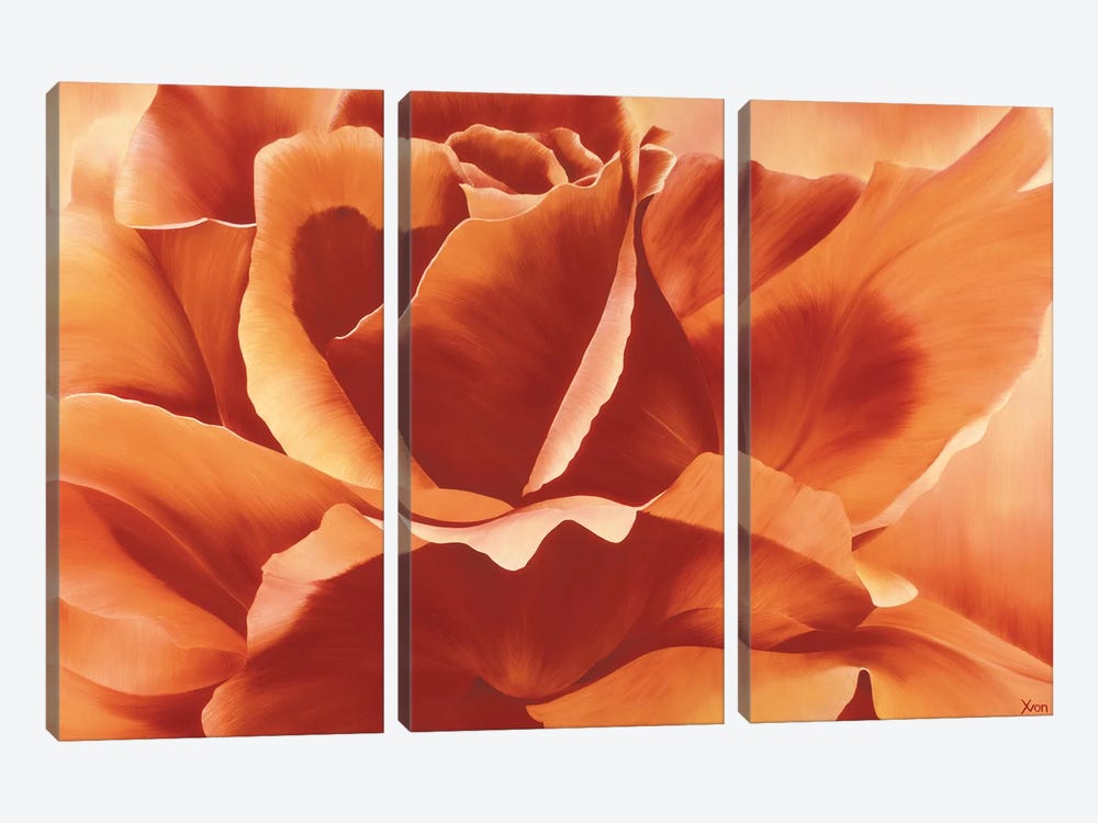 Full In Bloom II by Yvonne Poelstra-Holzhaus 3-piece Canvas Print