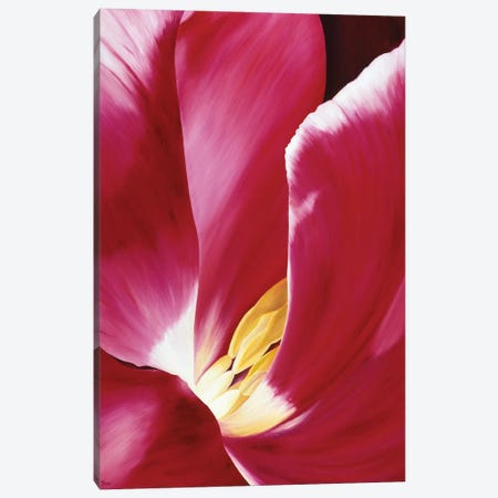 Look Closer Canvas Print #YPH26} by Yvonne Poelstra-Holzhaus Canvas Wall Art