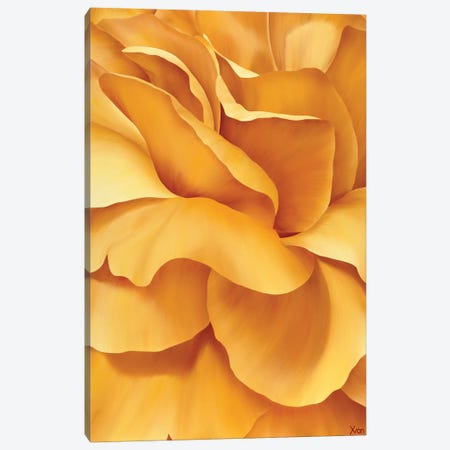Magnificent Flower I Canvas Print #YPH27} by Yvonne Poelstra-Holzhaus Canvas Wall Art
