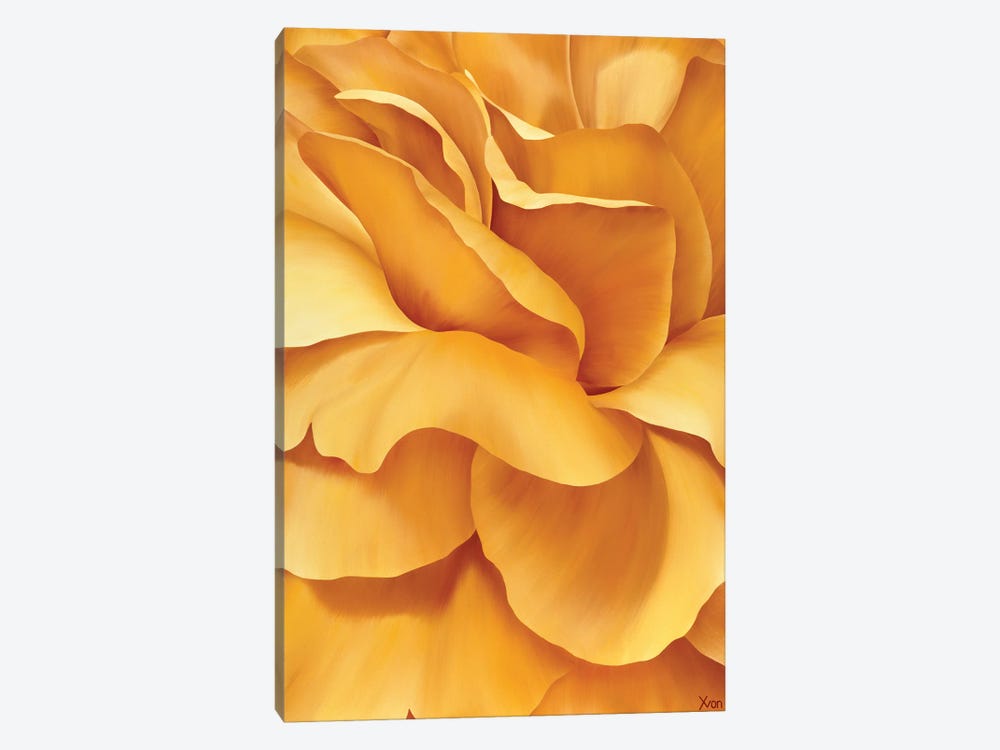 Magnificent Flower I by Yvonne Poelstra-Holzhaus 1-piece Canvas Wall Art