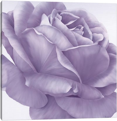 Magnificence I Canvas Art Print - Purple Art