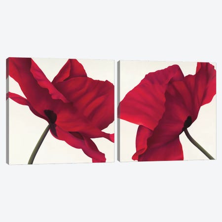 Papaver Diptych Canvas Print Set #YPH2HSET001} by Yvonne Poelstra-Holzhaus Art Print