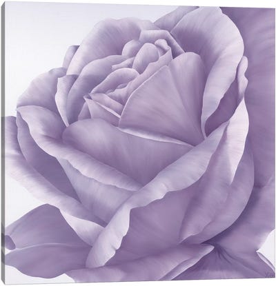 Magnificence II Canvas Art Print - Purple Art