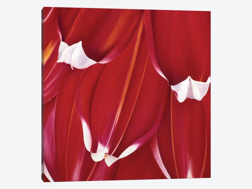 Most Beautiful Tulip II by Yvonne Poelstra-Holzhaus 1-piece Canvas Artwork