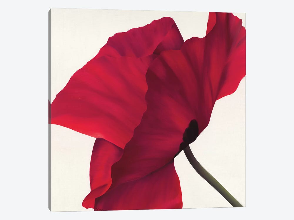 Papaver II by Yvonne Poelstra-Holzhaus 1-piece Canvas Print