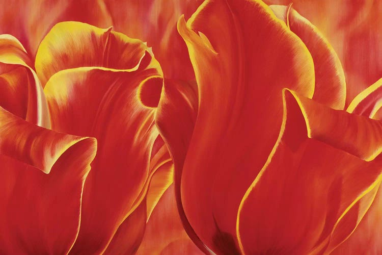 Party Tulip II