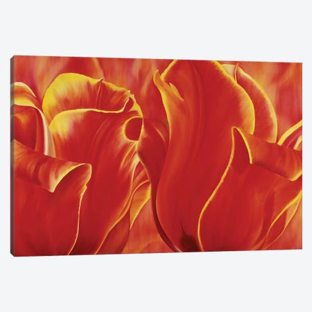Party Tulip II Canvas Print #YPH39} by Yvonne Poelstra-Holzhaus Canvas Wall Art