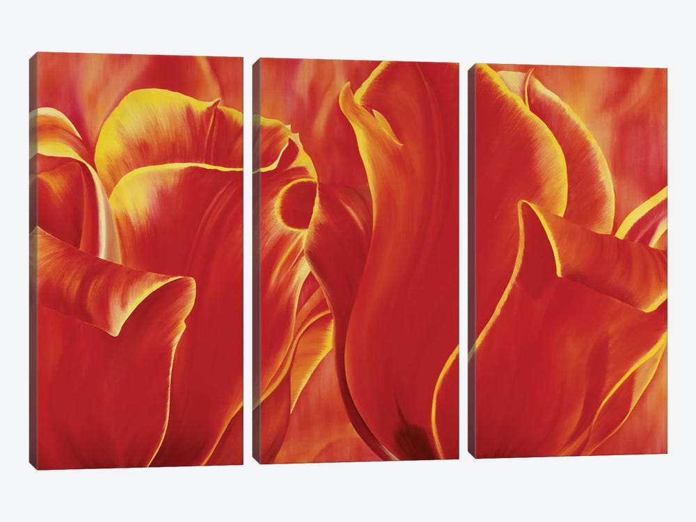 Party Tulip II by Yvonne Poelstra-Holzhaus 3-piece Canvas Print