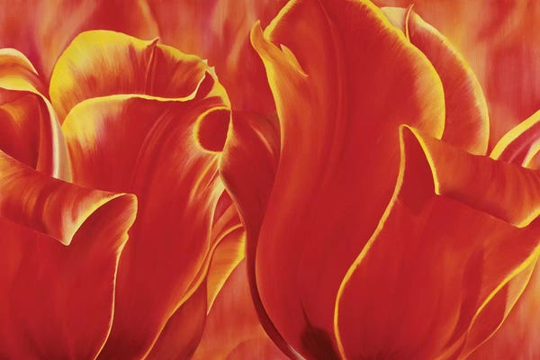 Flowers: Party Tulip II by Yvonne Poelstra-Holzhaus